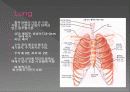 Respiratory 12페이지