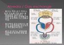Respiratory 16페이지