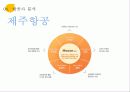 저가항공사 서비스 마케팅 14페이지