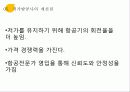 저가항공사 서비스 마케팅 18페이지
