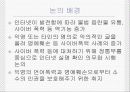 인터넷 실명제(찬반) 3페이지
