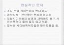 인터넷 실명제(찬반) 9페이지