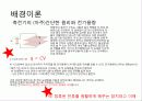 [물리실험] 축전기와 전기회로 & 정류회로 - 실험목적, 배경이론, 실험과정, 오차의 원인, 데이터분석 3페이지