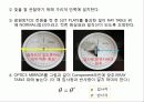 (4)빛의 반사와 굴절 10페이지