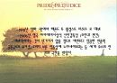 오만과 편견(수정) 5페이지