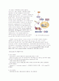 bortezomib 5페이지