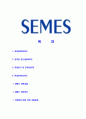 [세메스-최신공채합격자기소개서]세메스자기소개서자소서,세메스자소서자기소개서,새매스자소서,세매스합격자기소개서,새메tm합격자소서,새매스자기소개서,삼성전자자회사자소서,합격자기소개서,자기소 2페이지