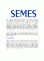 [세메스-최신공채합격자기소개서]세메스자기소개서자소서,세메스자소서자기소개서,새매스자소서,세매스합격자기소개서,새메tm합격자소서,새매스자기소개서,삼성전자자회사자소서,합격자기소개서,자기소 4페이지