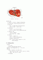 ★ 간염 케이스 스터디 (hepatitis case study) 9페이지
