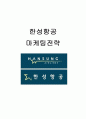 한성항공 마케팅분석과 문제점분석및 앞으로의 전략제안 1페이지