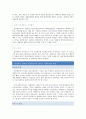 한성항공 마케팅분석과 문제점분석및 앞으로의 전략제안 20페이지