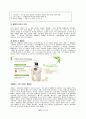 이니스프리 innisfree 브랜드분석및 마케팅전략분석과 새로운 전략제안 27페이지