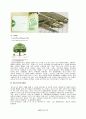이니스프리 innisfree 브랜드분석및 마케팅전략분석과 새로운 전략제안 29페이지