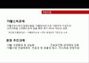 국민기초생활보장법 설명과 쟁점 및 대안 발표 (.ppt) 19페이지