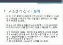 고조선의 역사(.ppt) 4페이지