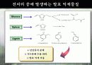 바이오에너지 2 6페이지