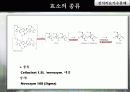 바이오에너지 2 10페이지