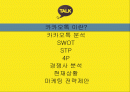 카카오톡(KakaoTalk) 기업분석, 마케팅 SWOT,STP,4P 전략 및 전략제안 PPT 2페이지