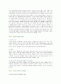 [라이프스타일] 라이프스타일의 마케팅 적용 3페이지