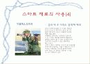 첨단재료_스마트재료 18페이지