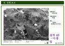 주사전자현미경의 원리 및 구성과 주사전자현미경의 실험결과 37페이지