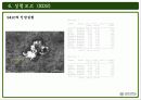 주사전자현미경의 원리 및 구성과 주사전자현미경의 실험결과 49페이지