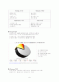 애플사 i-pod글로벌 마케팅 성공사례와 그 시사점 연구 6페이지
