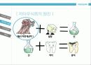 성인구강보건교육  11페이지