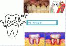 성인구강보건교육  13페이지