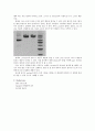 3주차 mini prep 미니 프랩 A+ 보고서 5페이지
