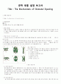 6주차 The Mechanisms of Stomatal Opening 기공개폐 A+ 보고서 1페이지