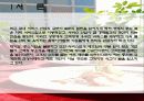 [A+] CJ푸드빌 VIPS(빕스) 마케팅 성공 경영전략 분석 (마케팅, SWOT, STP, 4P, 성공전략, 문제점, 개선방안, 패밀리레스토랑, 시장현황, 전망, 향후, 미래) 3페이지