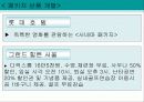 [A+] 관광호텔 객실가격 현황과 비수기의 효율적 관리 문제 29페이지