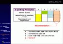 [A+] STAR Alliance (스타얼라이언스) 지속적 우위를 위한 전략보고서 (항공사간 제휴, ANA) 17페이지