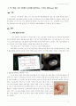 IT분야에서 나타나고 있는 'Emerging Item'들에 대한 분석 12페이지