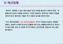 사회복지조직의 재정관리 28페이지