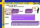 이케아의 전략과 성공사례 (IKEA Key Concepts & I.B Strategy).ppt 12페이지