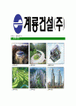 [계룡건설-최신공채합격자기소개서]계룡건설자기소개서자소서,계룡건설자소서자기소개서,계룡자소서,건설합격자기소개서,계룡합격자소서,자기소개서,자소서,합격자기소개서,자기소개서자소서 6페이지