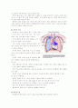 기흉환자간호 케이스 스터디 (spontaneous pneumothorax case study) 3페이지