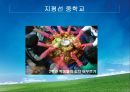 교육사회학의 이론적 접근, 대안학교 27페이지