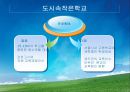 교육사회학의 이론적 접근, 대안학교 33페이지