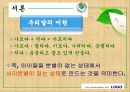대안교육과 대안학교  7페이지