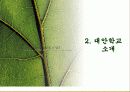 대안교육과 대안학교  14페이지