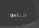 국내 로봇산업 현황 24페이지