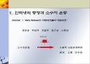 인터넷과 소수자 운동 4페이지