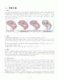 모성간호 CASE STUDY(자궁경관무력증) 2페이지