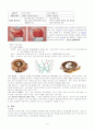 모성간호 CASE STUDY(자궁경관무력증) 4페이지