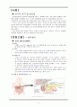 10A acute cholecytitis - case study 2페이지