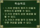 교육실습PPT 가야(완성) 4페이지