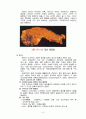 case 췌장염 (pancreatitis) - 급성췌장염 (acute pancreatitis) 3페이지